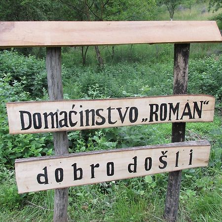 Country House Roman Doboj Bagian luar foto