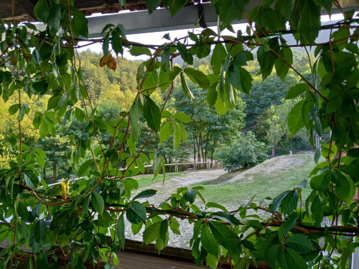 Country House Roman Doboj Bagian luar foto