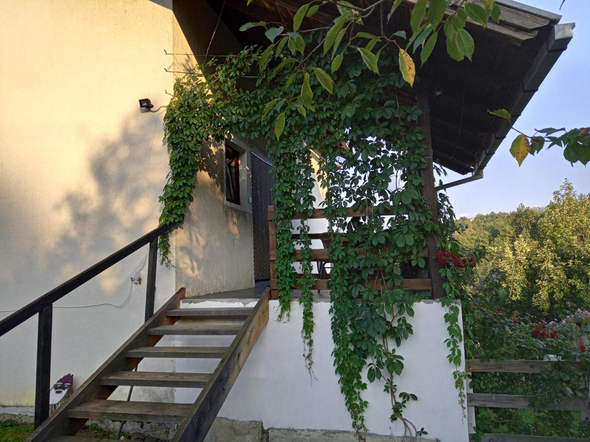 Country House Roman Doboj Bagian luar foto