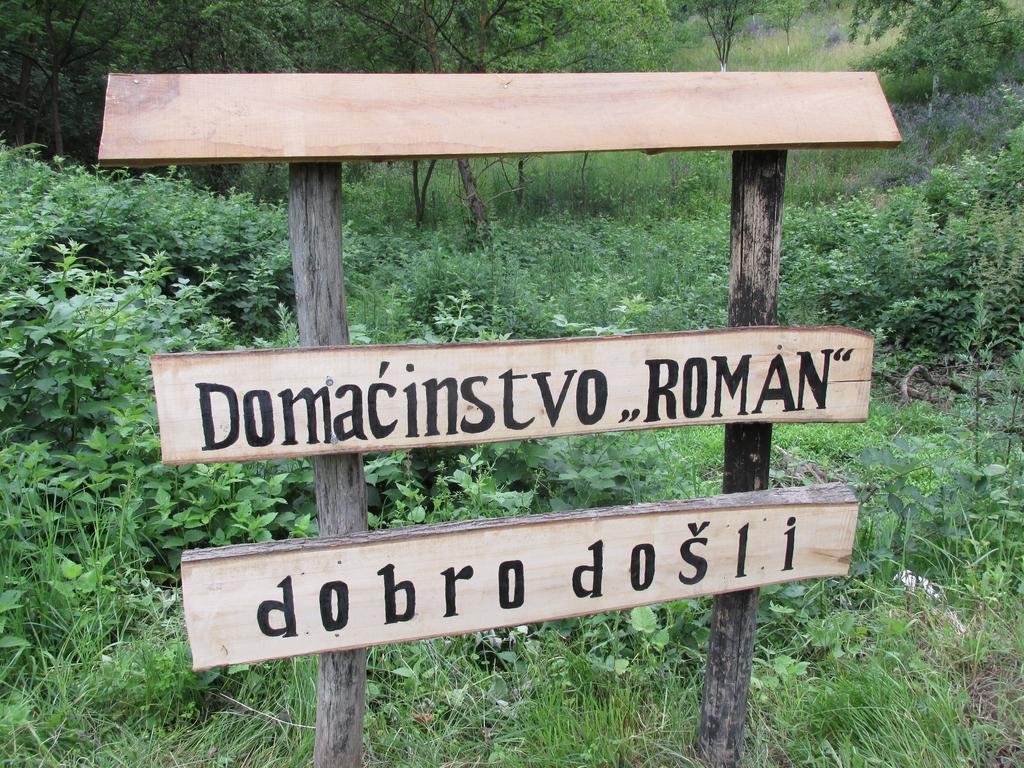Country House Roman Doboj Bagian luar foto