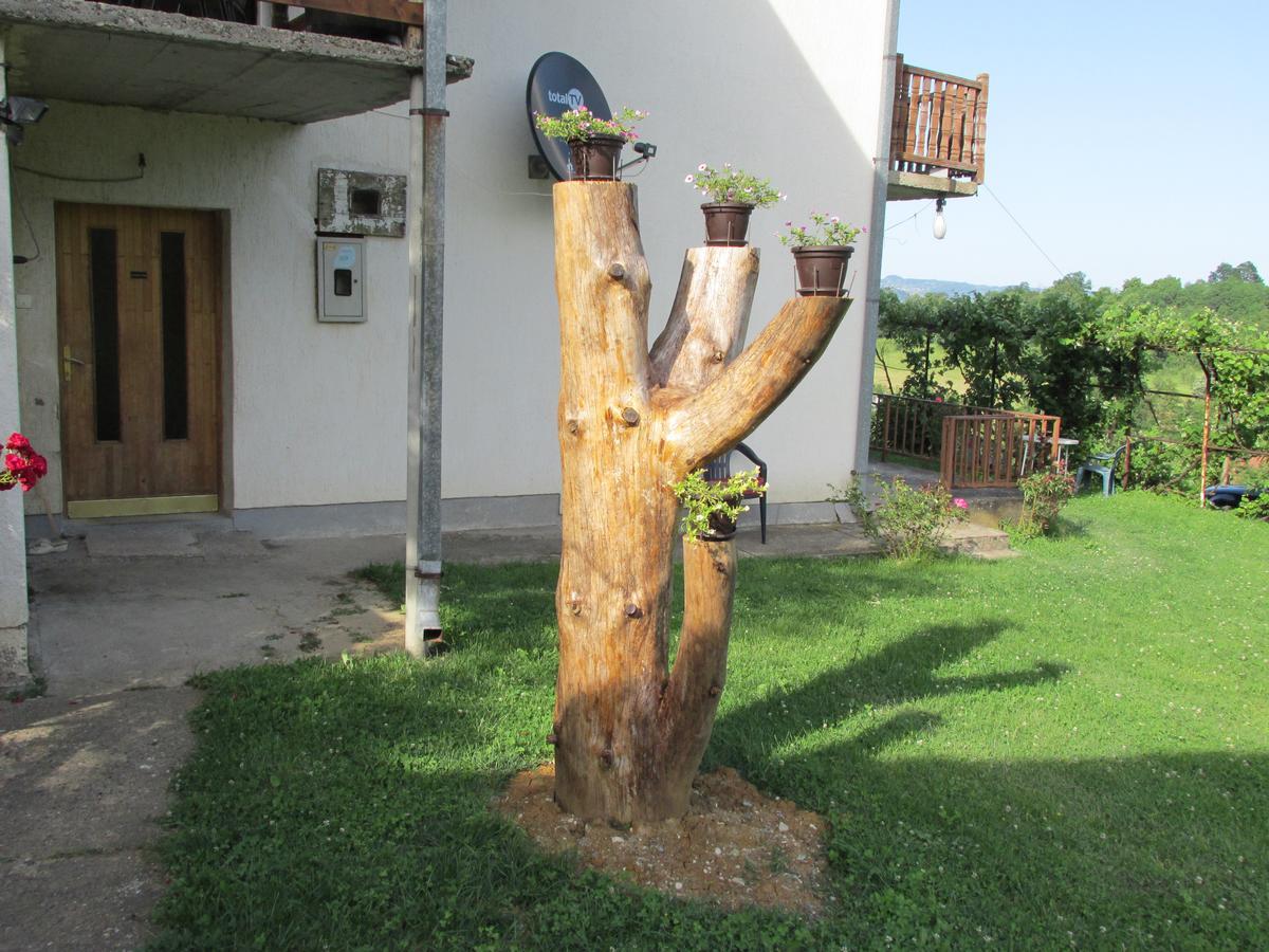 Country House Roman Doboj Bagian luar foto